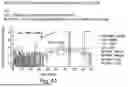 Fig. 45 - RECOMBINASE POLYMERASE AMPLIFICATION