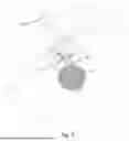 Fig. 06 - Toilet Target and Splash Reduction Apparatus