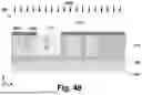 Fig. 49 - OPTICAL WAVEGUIDE APPARATUS AND METHOD OF FABRICATION THEREOF