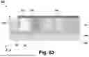 Fig. 63 - OPTICAL WAVEGUIDE APPARATUS AND METHOD OF FABRICATION THEREOF
