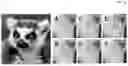 Fig. 35 - HOLOGRAPHIC DISPLAY AND METHOD FOR GENERATING A HOLOGRAM