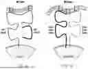 Fig. 02 - METHOD AND SYSTEMS FOR PREDICTION OF HLA CLASS II-SPECIFIC EPITOPES AND CHARACTERIZATION OF CD4+ T CELLS