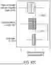 Fig. 85 - METHOD AND SYSTEMS FOR PREDICTION OF HLA CLASS II-SPECIFIC EPITOPES AND CHARACTERIZATION OF CD4+ T CELLS