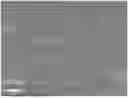 Fig. 01 - Lithium Metal Negative Electrode and Electrochemical Device Comprising the Same