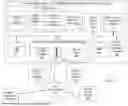 Fig. 03 - CREATING LANGUAGE INDEPENDENT CRYPTO ASSETS