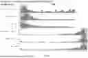 Fig. 36 - SYSTEM, METHOD, AND APPARATUS FOR PROVIDING DYNAMIC, PRIORITIZED SPECTRUM MANAGEMENT AND UTILIZATION