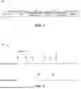 Fig. 03 - SELECTION OF ACCESS POINT MULTI-LINK DEVICE