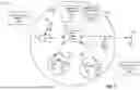 Fig. 02 - RESOURCE MUTING PATTERNS