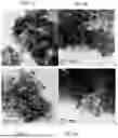 Fig. 07 - NANOSYSTEMS BASED ON NANOCOMPOSITES AND NATURAL EXTRACTS