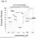 Fig. 07 - SYSTEMS AND METHODS FOR TESTING AND ANALYSIS OF VISUAL ACUITY AND ITS CHANGES