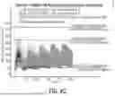 Fig. 12 - METHODS FOR DOSE INITIATION OF ARIPIPRAZOLE TREATMENTS