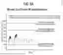 Fig. 20 - METHODS FOR DOSE INITIATION OF ARIPIPRAZOLE TREATMENTS