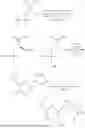 Fig. 366 - MODULATORS OF SESTRIN-GATOR2 INTERACTION AND USES THEREOF