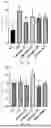 Fig. 06 - APPLICATION OF MEDIUM-CHAIN FATTY ACID MIXED STRUCTURAL LIPID IN IMPROVING DIET-INDUCED DISORDERS OF GLUCOSE AND LIPID METABOLISM