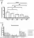 Fig. 22 - Compositions and Methods for Treating Metabolic Disorders
