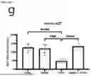 Fig. 40 - Compositions and Methods for Treating Metabolic Disorders
