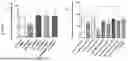 Fig. 09 - 2-HYDROXYPROPYL-BETA-CYCLODEXTRIN AS A CANCER THERAPY NEOADJUVANT OR ADJUVANT