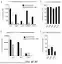 Fig. 06 - Near Infrared Photoimmunotherapy