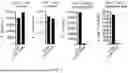Fig. 07 - Near Infrared Photoimmunotherapy