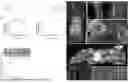 Fig. 01 - METHODS FOR LARGE TISSUE LABELING, CLEARING AND IMAGING USING ANTIBIODIES