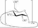 Fig. 02 - METHODS FOR LARGE TISSUE LABELING, CLEARING AND IMAGING USING ANTIBIODIES