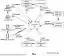Fig. 02 - CURATING KNOWLEDGE BASED ON WORDS