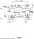 Fig. 22 - CURATING KNOWLEDGE BASED ON WORDS