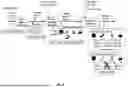 Fig. 27 - CURATING KNOWLEDGE BASED ON WORDS