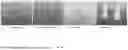Fig. 11 - SYSTEM AND METHOD FOR IDENTIFYING WHEN A TARGET CHARACTERISTIC OF AN OBJECT IN AN INPUT IMAGE SCENE IS DEEMED TO RENDER THE OBJECT TO BE AN OBJECT-OF-INTEREST