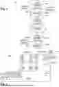 Fig. 02 - MAINTENANCE OF DATACENTER FLUID COOLING ARRANGEMENT
