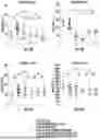 Fig. 09 - COMPOSITIONS AND METHODS FOR TREATMENT OF ACHROMOTOPSIA