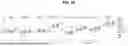 Fig. 08 - BIODEGRADABLE TISSUE REPLACEMENT IMPLANT AND ITS USE