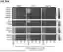 Fig. 49 - BIODEGRADABLE TISSUE REPLACEMENT IMPLANT AND ITS USE
