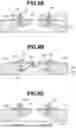 Fig. 09 - LIQUID DISCHARGE HEAD, RECORDING DEVICE, AND RECOVERY METHOD