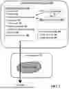 Fig. 02 - PROCESSING A REQUEST SIGNAL REGARDING OPERATION OF AN AUTONOMOUS VEHICLE