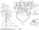 Fig. 07 - SYSTEMS, DEVICES, AND METHODS FOR MULTI-STAGE BEVERAGE PREPARATION