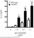 Fig. 03 - Testis Development Related Protein Antibodies