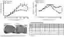 Fig. 04 - Testis Development Related Protein Antibodies