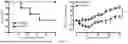 Fig. 05 - Testis Development Related Protein Antibodies