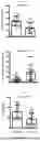 Fig. 07 - Testis Development Related Protein Antibodies