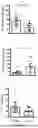 Fig. 08 - Testis Development Related Protein Antibodies