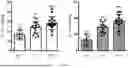 Fig. 14 - Testis Development Related Protein Antibodies
