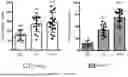 Fig. 15 - Testis Development Related Protein Antibodies