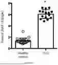 Fig. 16 - Testis Development Related Protein Antibodies