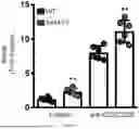 Fig. 22 - Testis Development Related Protein Antibodies