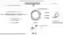 Fig. 03 - TARGETED RNA CIRCULARIZATION
