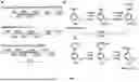 Fig. 02 - RECOMBINANT MICROORGANISMS THAT CATABOLIZE ACETOVANILLONE AND METHODS OF USING SAME