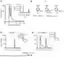 Fig. 14 - RECOMBINANT MICROORGANISMS THAT CATABOLIZE ACETOVANILLONE AND METHODS OF USING SAME