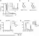 Fig. 15 - RECOMBINANT MICROORGANISMS THAT CATABOLIZE ACETOVANILLONE AND METHODS OF USING SAME