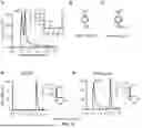 Fig. 16 - RECOMBINANT MICROORGANISMS THAT CATABOLIZE ACETOVANILLONE AND METHODS OF USING SAME